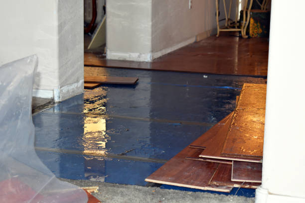 Professional Basement Flood Cleanup technician working in Rockwell City, IA